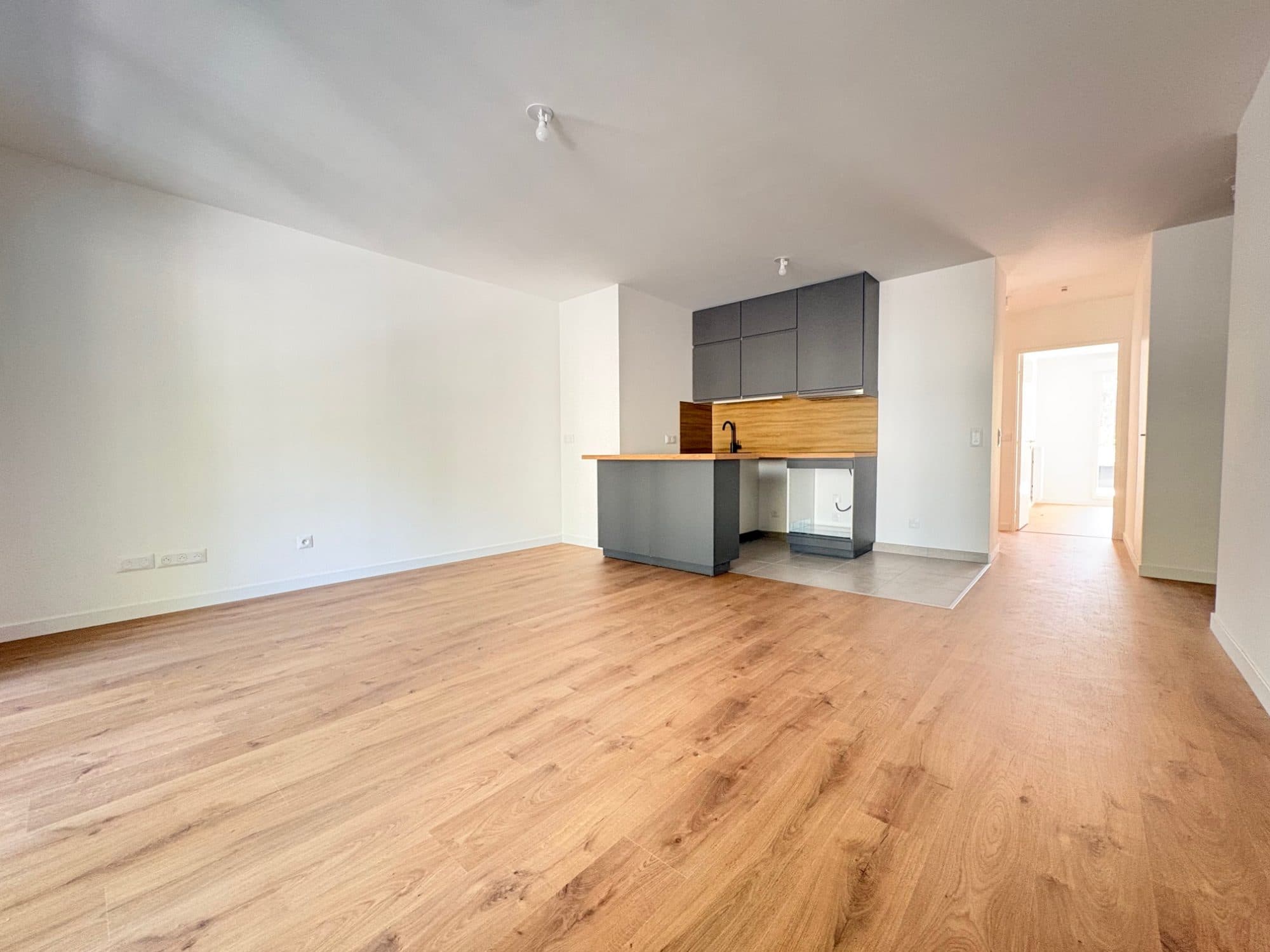 Appartement T3 à Bagneux