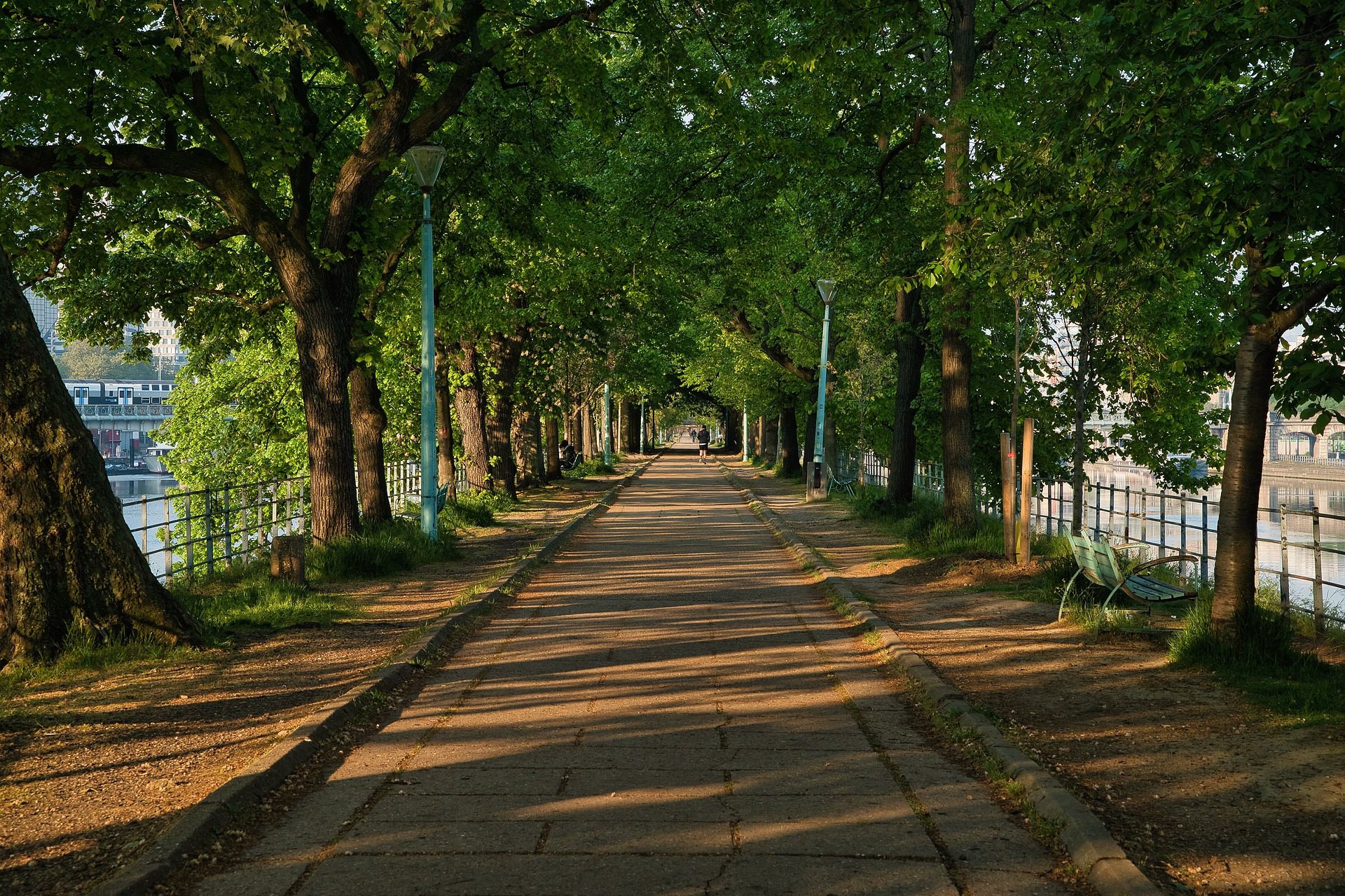 photo d'un chemin vert au bord de la seine à Paris